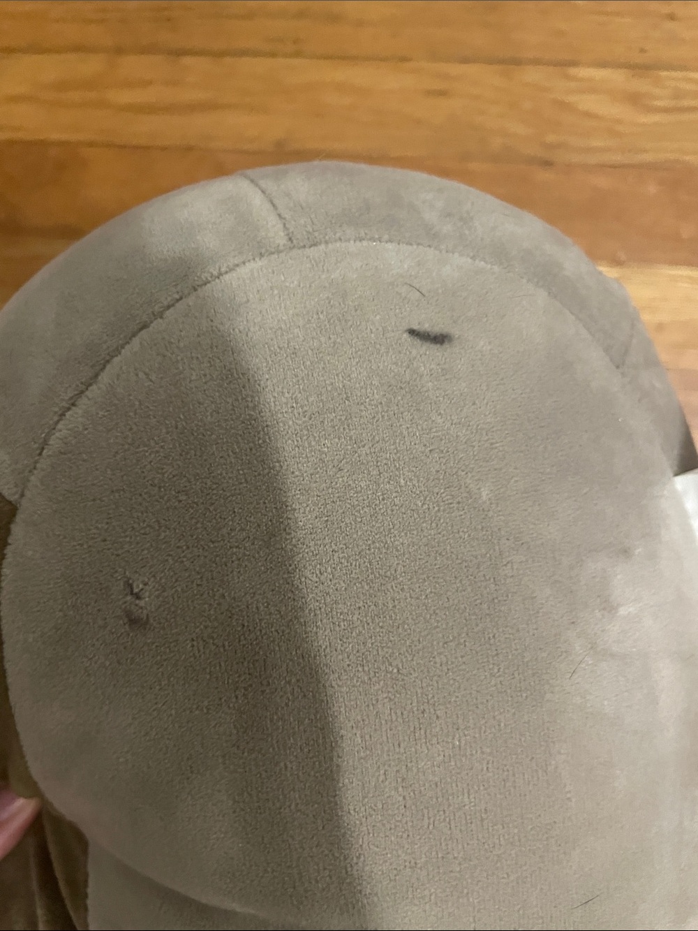squishmallow - Picture 2 of 2